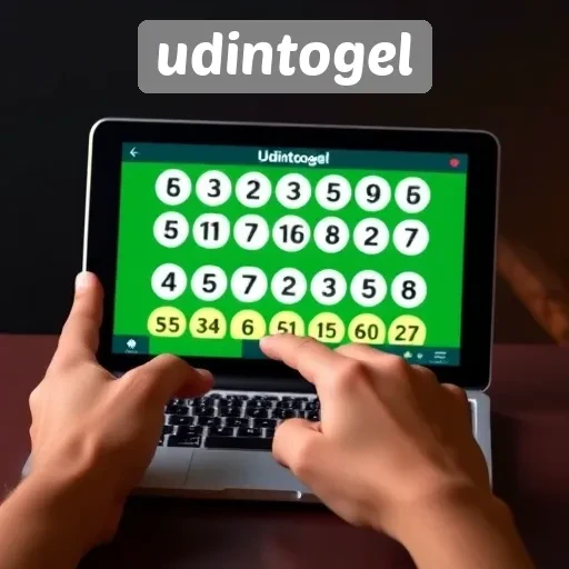 Panduan Lengkap Menggunakan Udintogel untuk Pemula